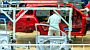 17 Jun 2026 - Volkswagen to axe 28,000 European jobs